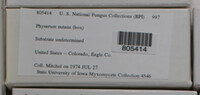 Physarum nutans image